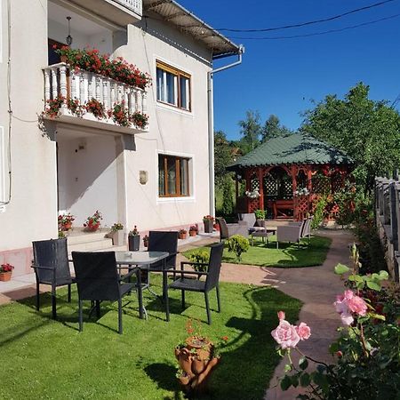 Pensiunea Alexia Novaci-Străini Exterior foto