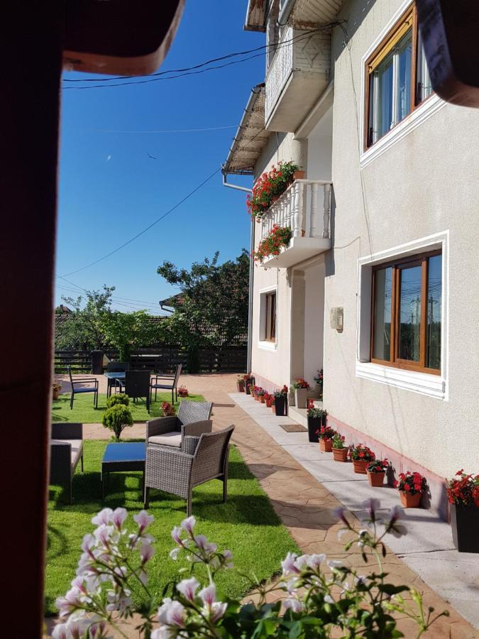 Pensiunea Alexia Novaci-Străini Exterior foto