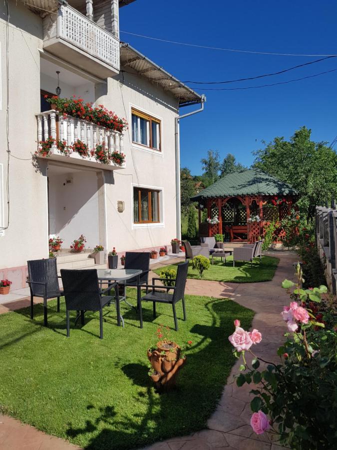 Pensiunea Alexia Novaci-Străini Exterior foto